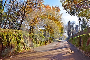 Oak alley in the park, Tivoli, neighborhood of Rome, Italy