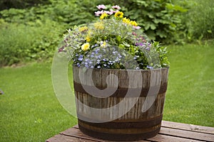 Oak barrel flower pot with flowers