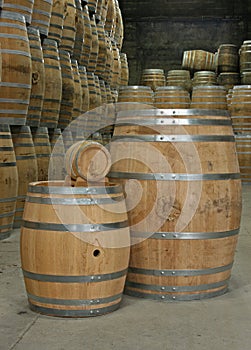 Oak barrels in cellar