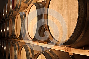 Oak barrels maturing red wine