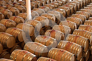 Oak barrels maturing red wine