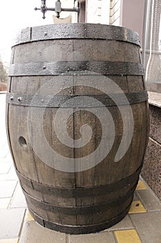 Oak barrels outside