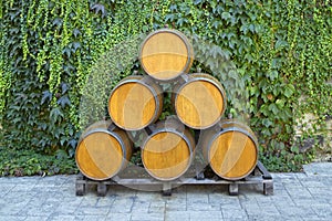 Oak barrels pile