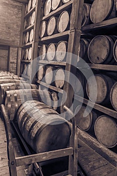 Oak barrels in RIk house