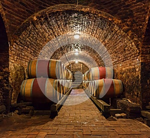 Oak barrels in a underground wine cellar