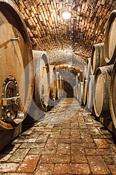 Oak barrels in a underground wine cellar