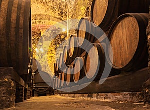 Oak barrels with the wine at cellar