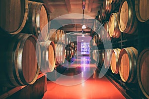 Oak barrels with wine in dark cellar. Modern production of wine with the observance of age-old traditions. photo