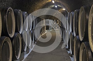 Oak barrels with wine in the winery sellars. Crimea.