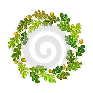 Oak Branches with Green Leaves and Acorns Arranged in Wreath Vector Illustration
