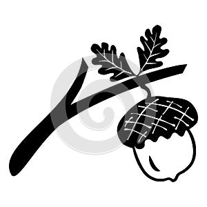 Oak branches with leaves and acorns, black silhouettes on white background. Oak Leaf and acorn icon on white background.