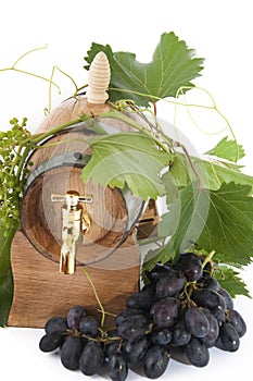 In oak casks with vines and grapes white and black photo