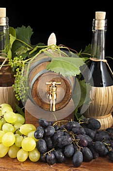 In oak casks with vines and grapes white and black photo