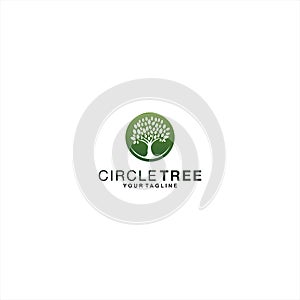 Oak circle tree logo template design