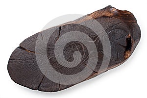 Oak cutting board, burnt log slice cutted tree trunk isolated on white background, top view