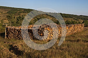 Oak firewood Cut and Stacked