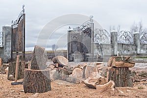 Oak firewood, preparing for the heating season, cut and split firewood, workflow in the yard near the house, housework, nobody, ru photo