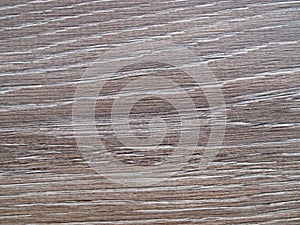 Oak floor texture