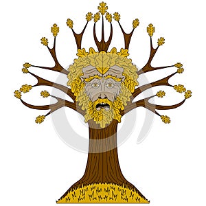 Oak Greenman in tree