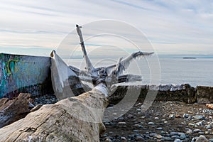 Oak Harbor, WA USA - 01 JAN 2024