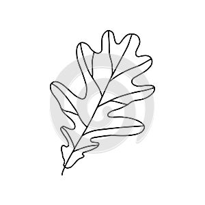 Oak Leaf 4