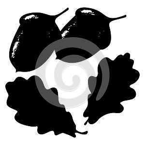 Oak leaf, acorn and branch isolated silhouette, ecology stylized