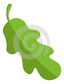 Oak leaf. Green tree foliage. Forest symbol