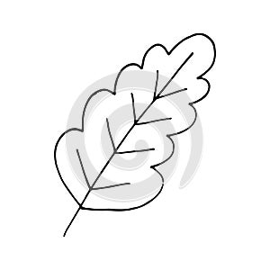 Oak leaf hand drawn in doodle style. single element for design icon, card, poster, sticker. , scandinavian, hygge, monochrome.