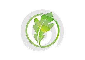 Oak leaf icon Green color in a circle vector