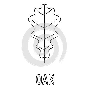 Oak leaf icon, outline style.