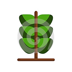 Oak leaf icon vector isolated on white background, Oak leaf sign , colorful symbols