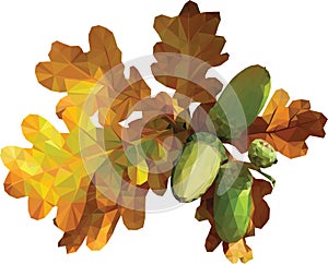 Oak leaf isolated on white, vector illustration