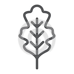 Oak leaf line icon, nature and botany, foliage sign, vector graphics, a linear pattern on a white background.