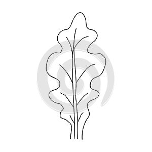 Oak leaf linear icon. Thin line illustration. Contour Vector outline drawing.