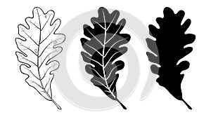 Oak leaf. Linear and silhouette. Vector illustration