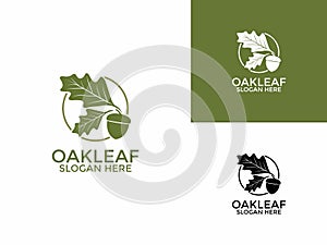 Oak leaf logo design illustration vector template, Green Oak Leaves logo design icon