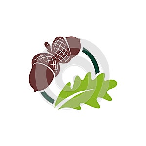 Oak leaf logo design vector illustration, Creative oak tree logo design concept template, symbols icons