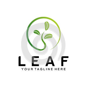 Oak leaf logo vector design template