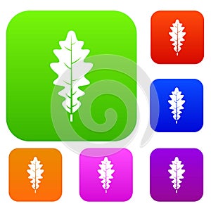 Oak leaf set color collection
