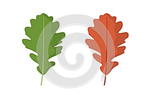 Oak leaf. Spring green and autumn orange. Isolated vector illustration on white background