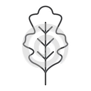 Oak leaf thin line icon, nature and botany, foliage sign, vector graphics, a linear pattern on a white background.