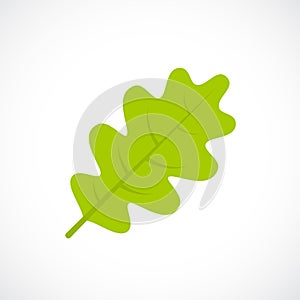Oak leaf vector icon