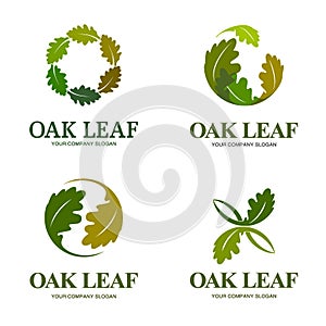 Oak leaf vector logo set. Logo template.