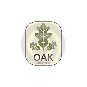 oak leaf vintage color logo vector illustration template design