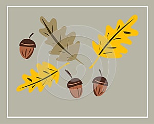 Oak leaves. Acorns. Fall, autumn