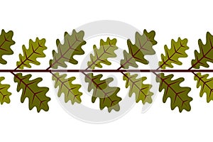 Oak leaves border