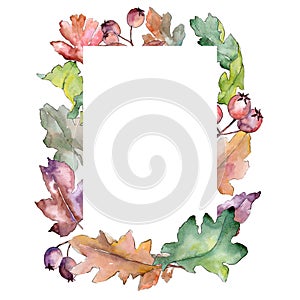 Oak leaves frame in a watercolor style.