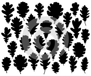 Oak leaves silhouette set isolated on white background vector