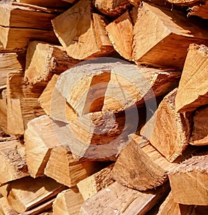 Oak logs, firewood for the barbecue or for oven