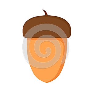 Oak nut brown squirrel food macro acorn vector. Isolated icon healthy element